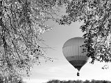 Digital Image (Monochrome) 1st Balloon Watchers by Maggie White